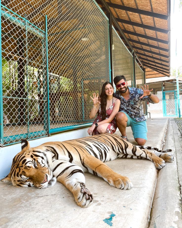 Safari scene with elephants roaming the African savanna.